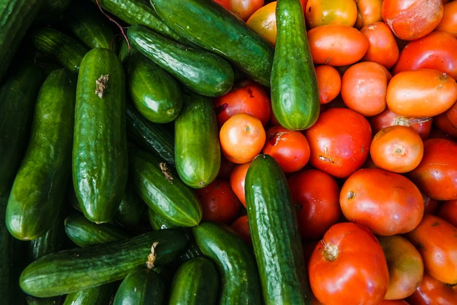 SEED_ASSET:operator-zucchine-brenta-logo-1.jpg